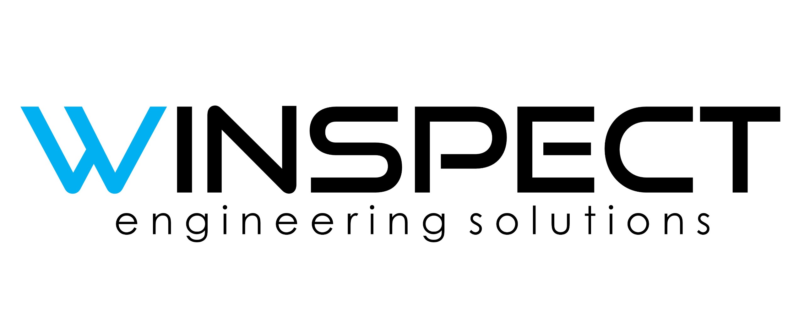 WINSPECT